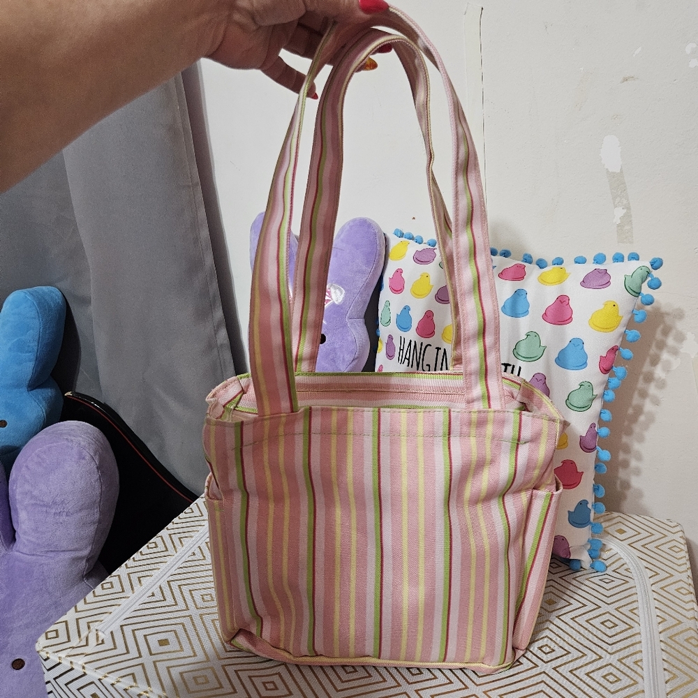 Special Delivery Multi color Pink Geen Yellow Red  Mini Tote Bag